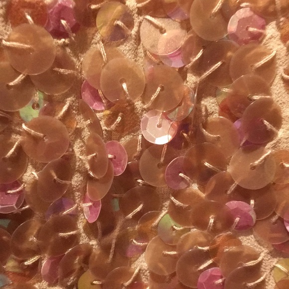 BCBG Maxazria sequin soft pink/plum lovely dress size10 silk needs some mending - Picture 2 of 14